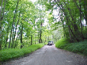 Historic Plymouth Street