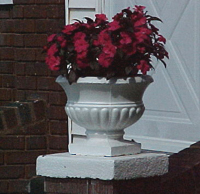 we added two urns to the front steps